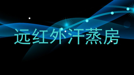 远红外汗蒸房