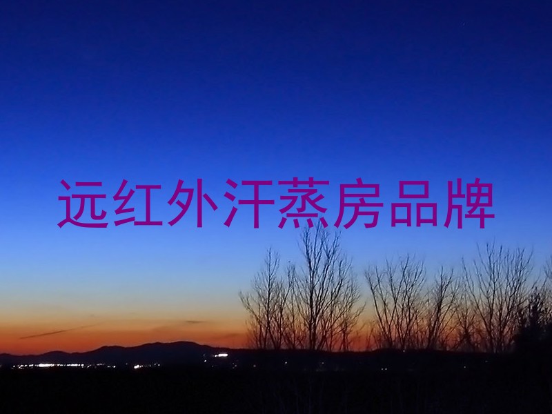 远红外汗蒸房品牌