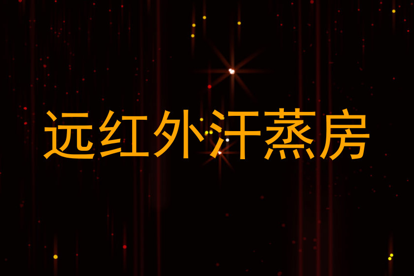 远红外汗蒸房