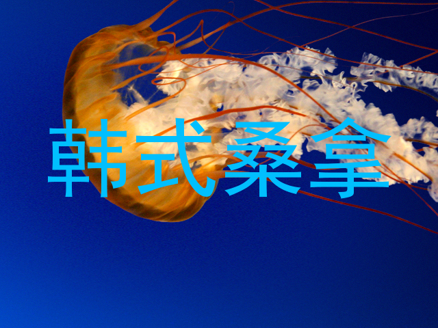 韩式桑拿