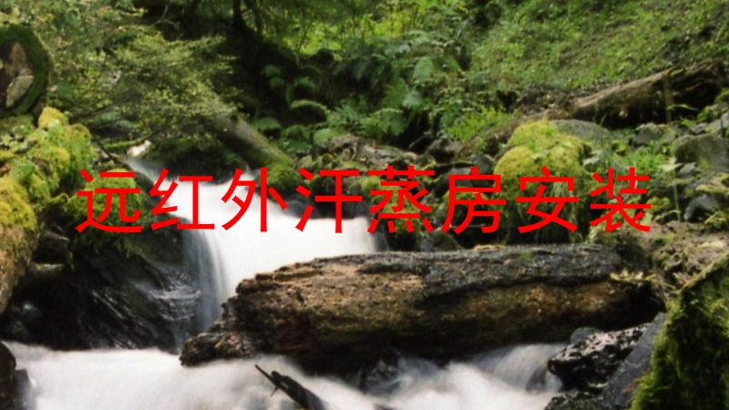 远红外汗蒸房安装