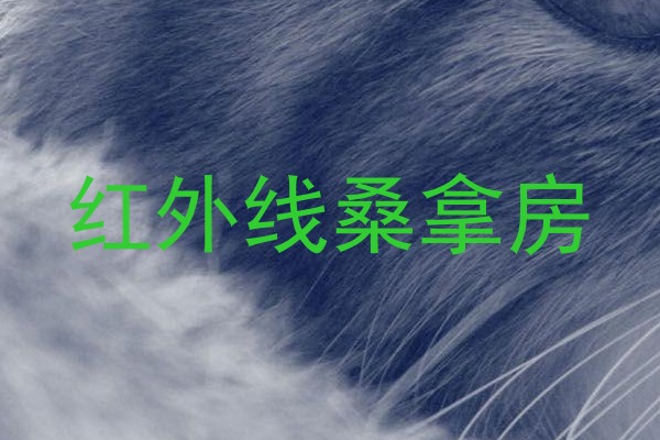 红外线桑拿房