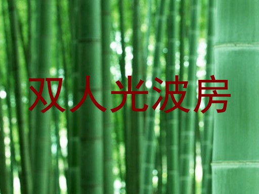 双人光波房
