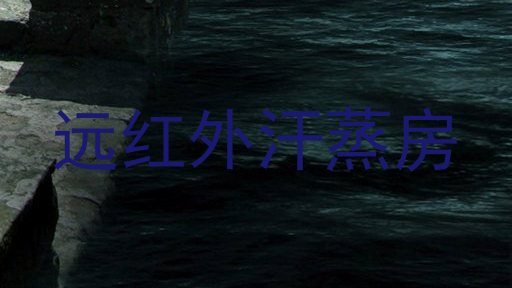 远红外汗蒸房