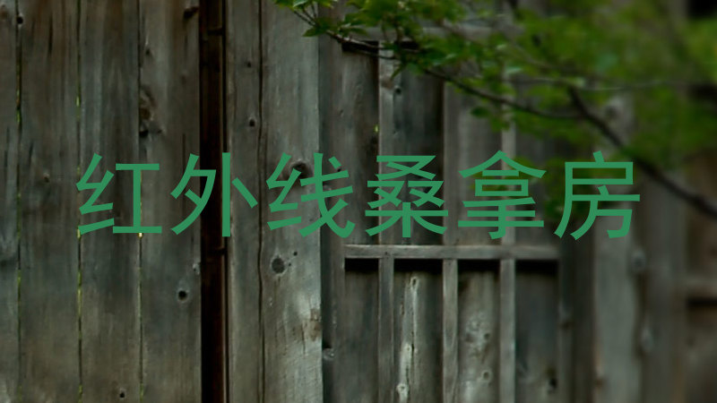 红外线桑拿房