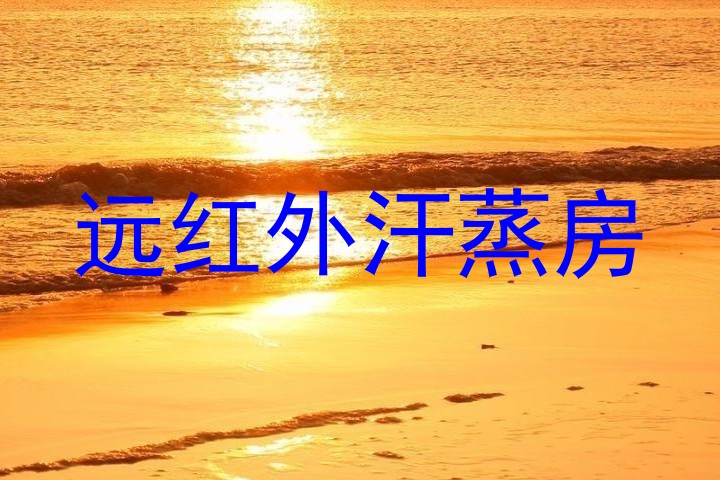 远红外汗蒸房