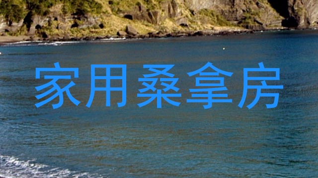 家用桑拿房