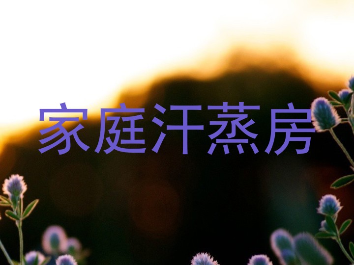 家庭汗蒸房