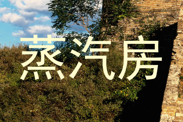 蒸汽房
