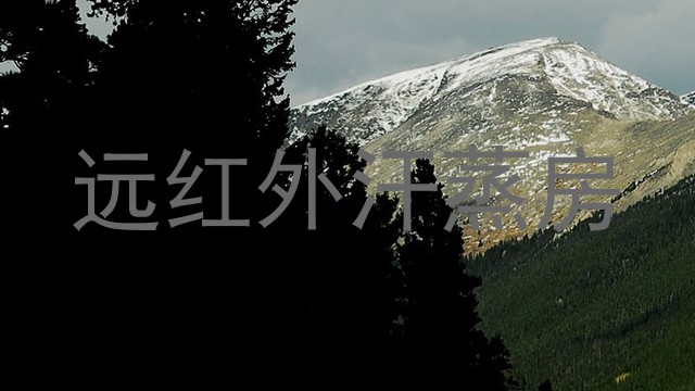 远红外汗蒸房