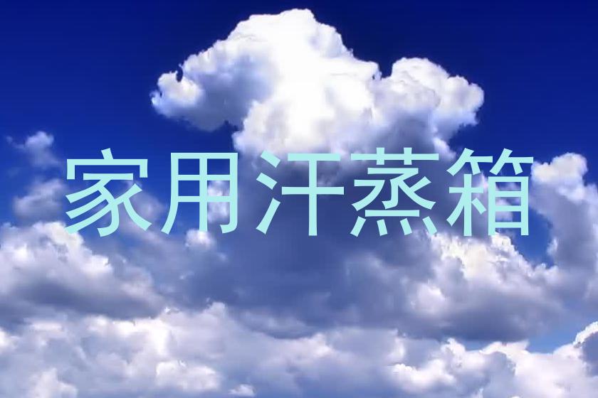 家用汗蒸箱
