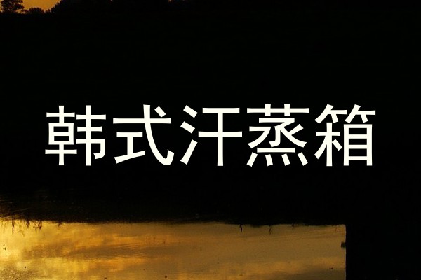 韩式汗蒸箱