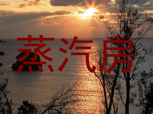 蒸汽房