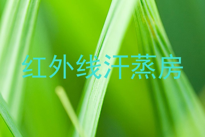 红外线汗蒸房