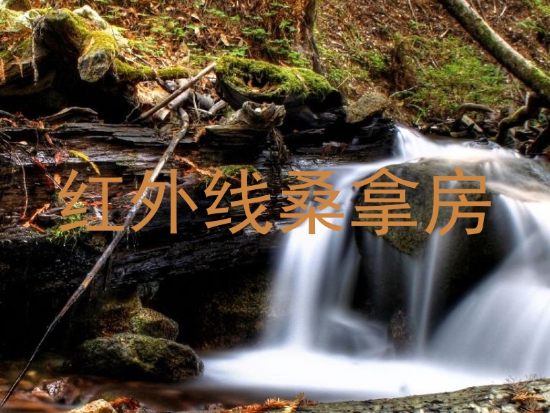 红外线桑拿房