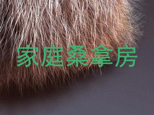 家庭桑拿房