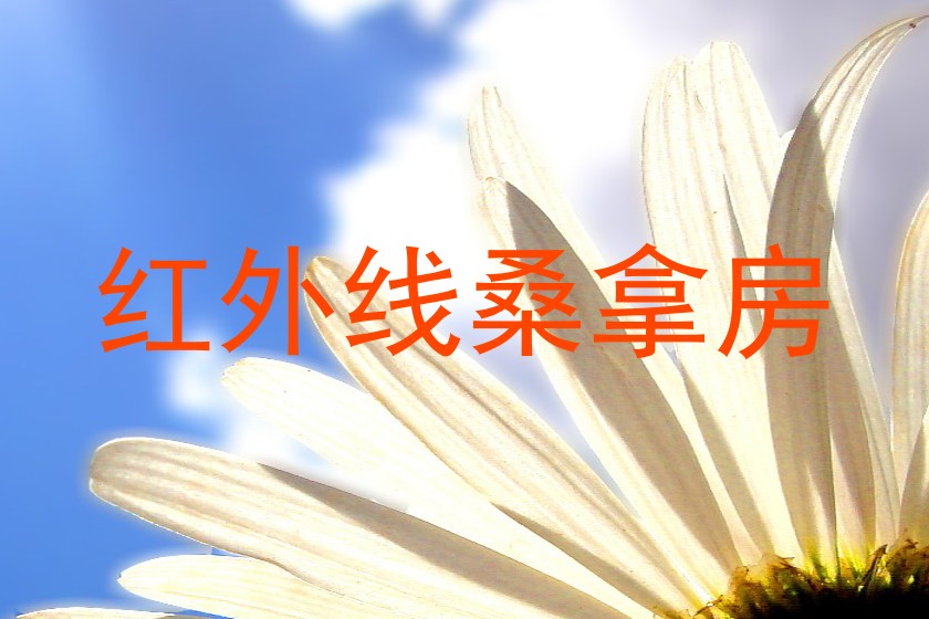 红外线桑拿房