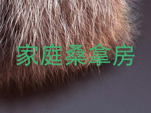 家庭桑拿房