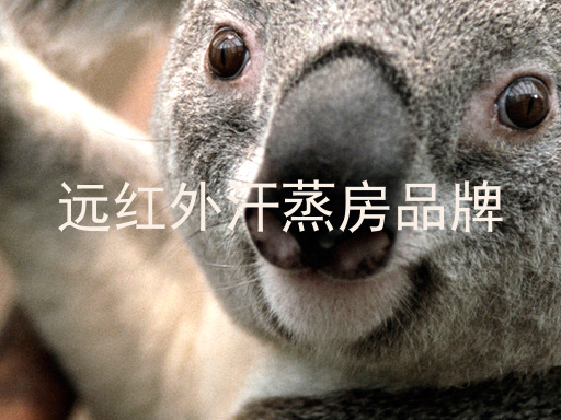 远红外汗蒸房品牌
