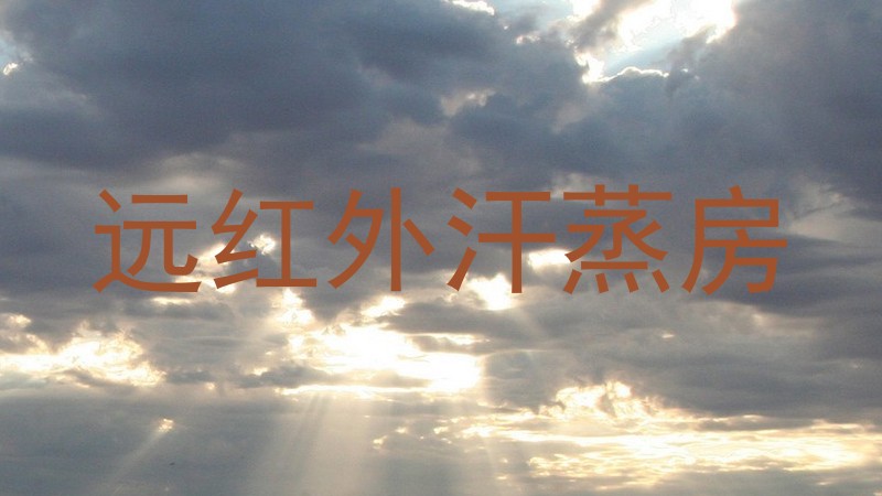 远红外汗蒸房