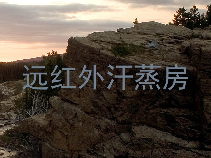 远红外汗蒸房