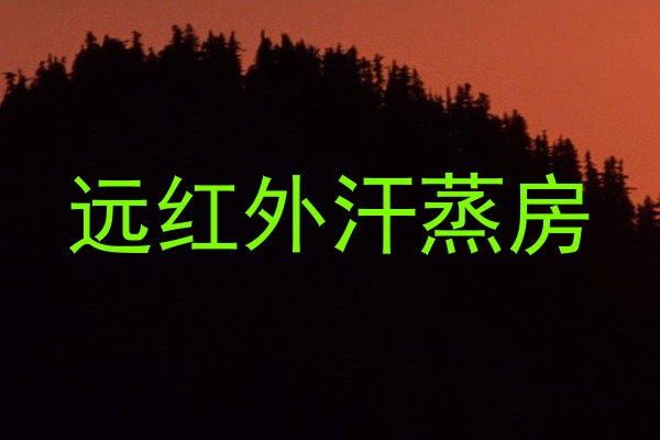远红外汗蒸房