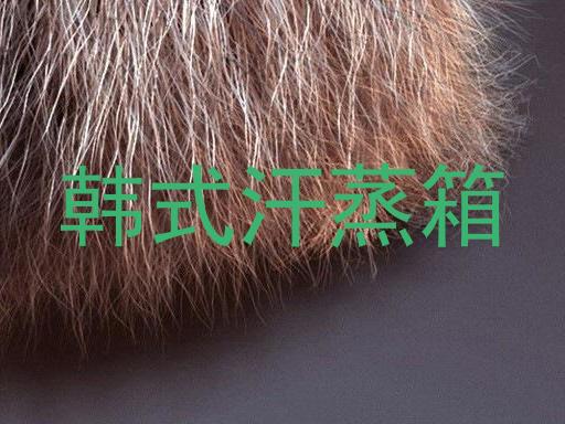 韩式汗蒸箱