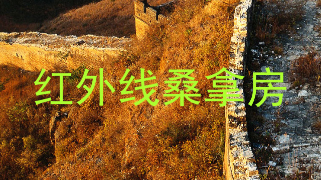 红外线桑拿房