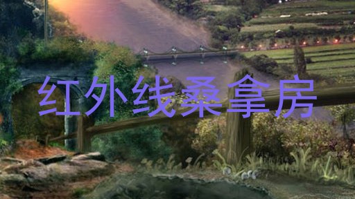红外线桑拿房