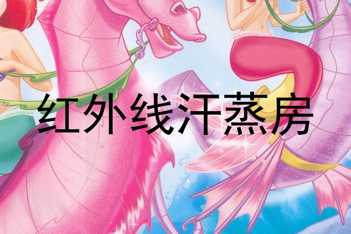 红外线汗蒸房