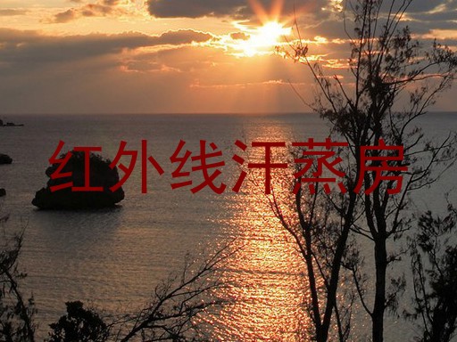 红外线汗蒸房
