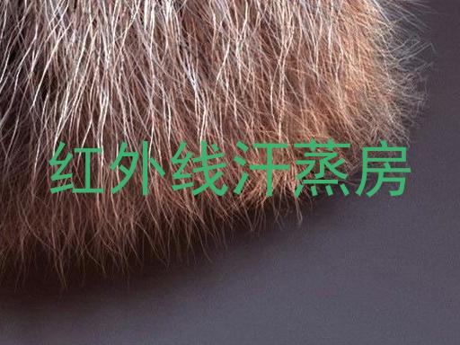 红外线汗蒸房