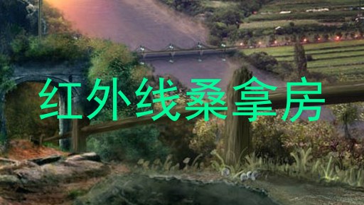 红外线桑拿房