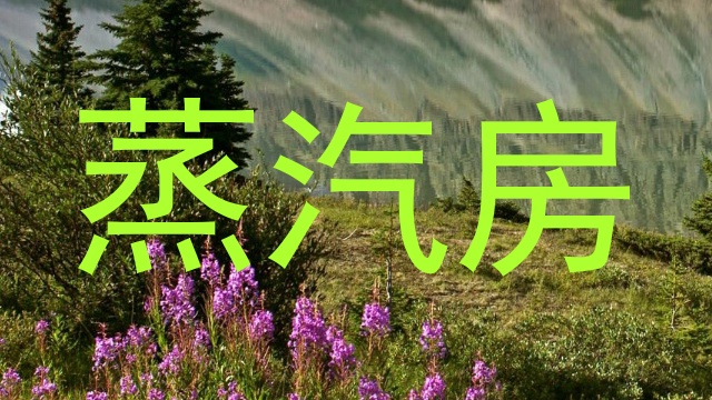 蒸汽房