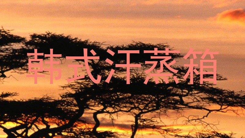 韩式汗蒸箱