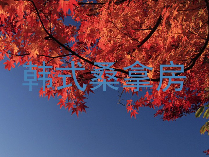 韩式桑拿房