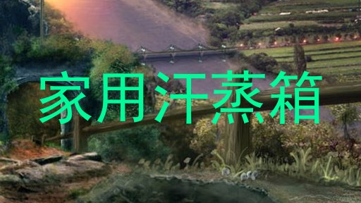 家用汗蒸箱