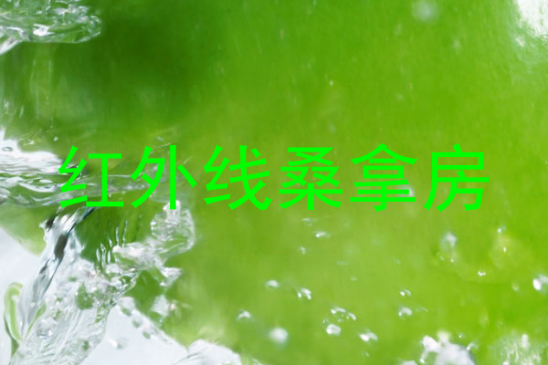 红外线桑拿房
