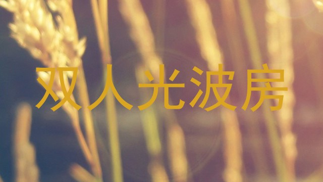 双人光波房