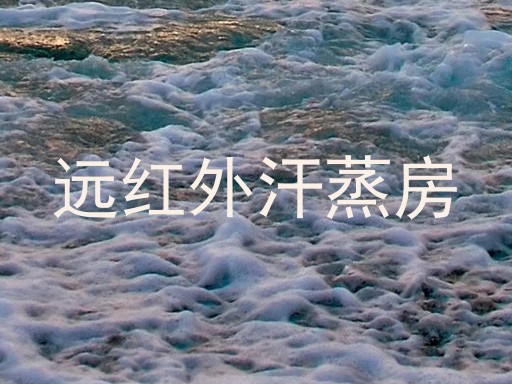 远红外汗蒸房