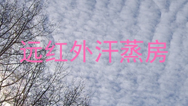 远红外汗蒸房