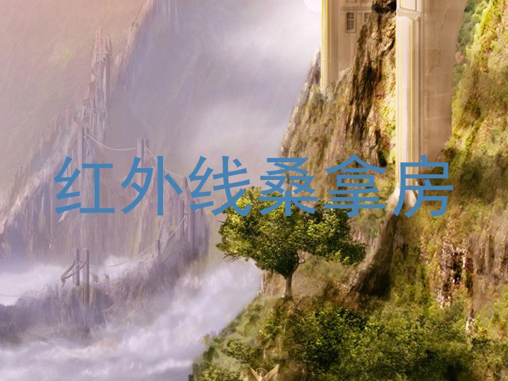 红外线桑拿房