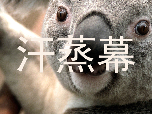 汗蒸幕