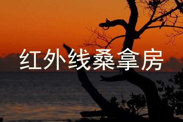 红外线桑拿房