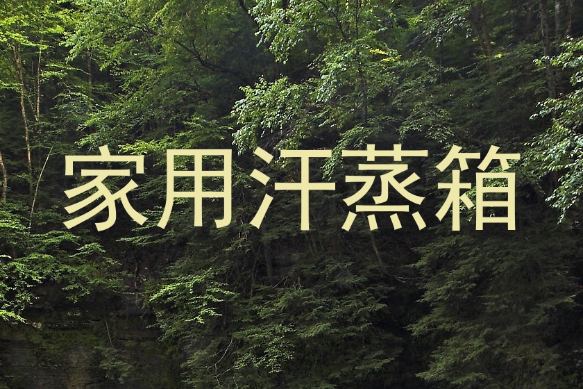 家用汗蒸箱