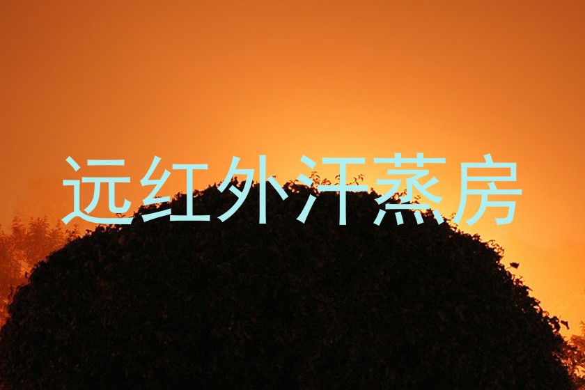 远红外汗蒸房