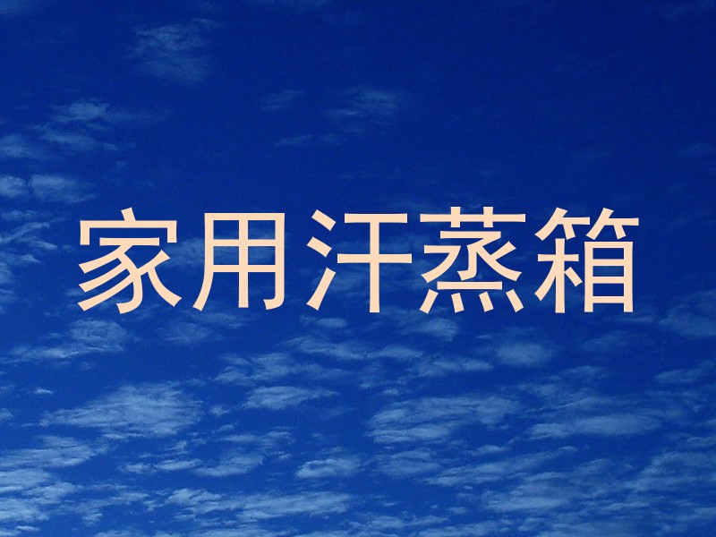 家用汗蒸箱