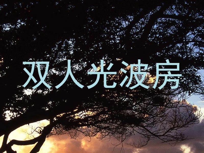 双人光波房