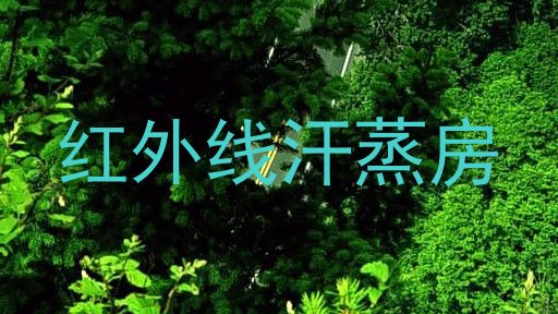 红外线汗蒸房