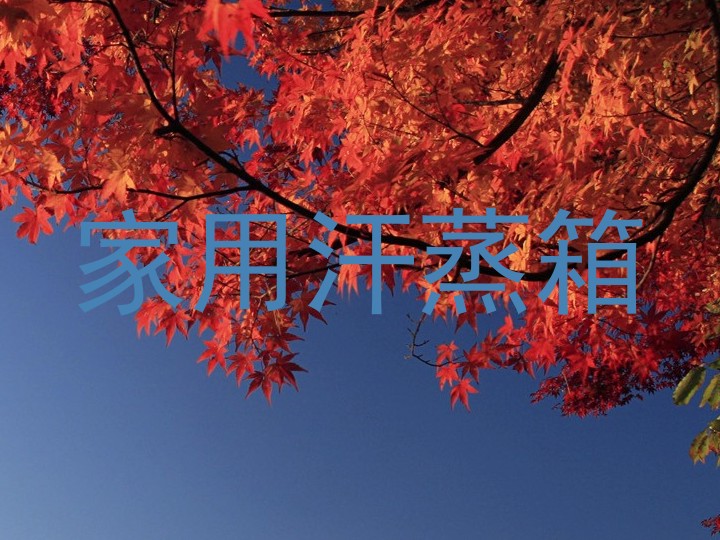 家用汗蒸箱